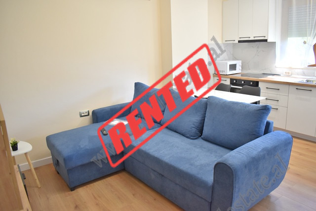 Apartament 1+1 p&euml;r qira ne rrugen Dhimiter Kamarda ne Tirane
I pozicionuar n&euml; katin e dyt